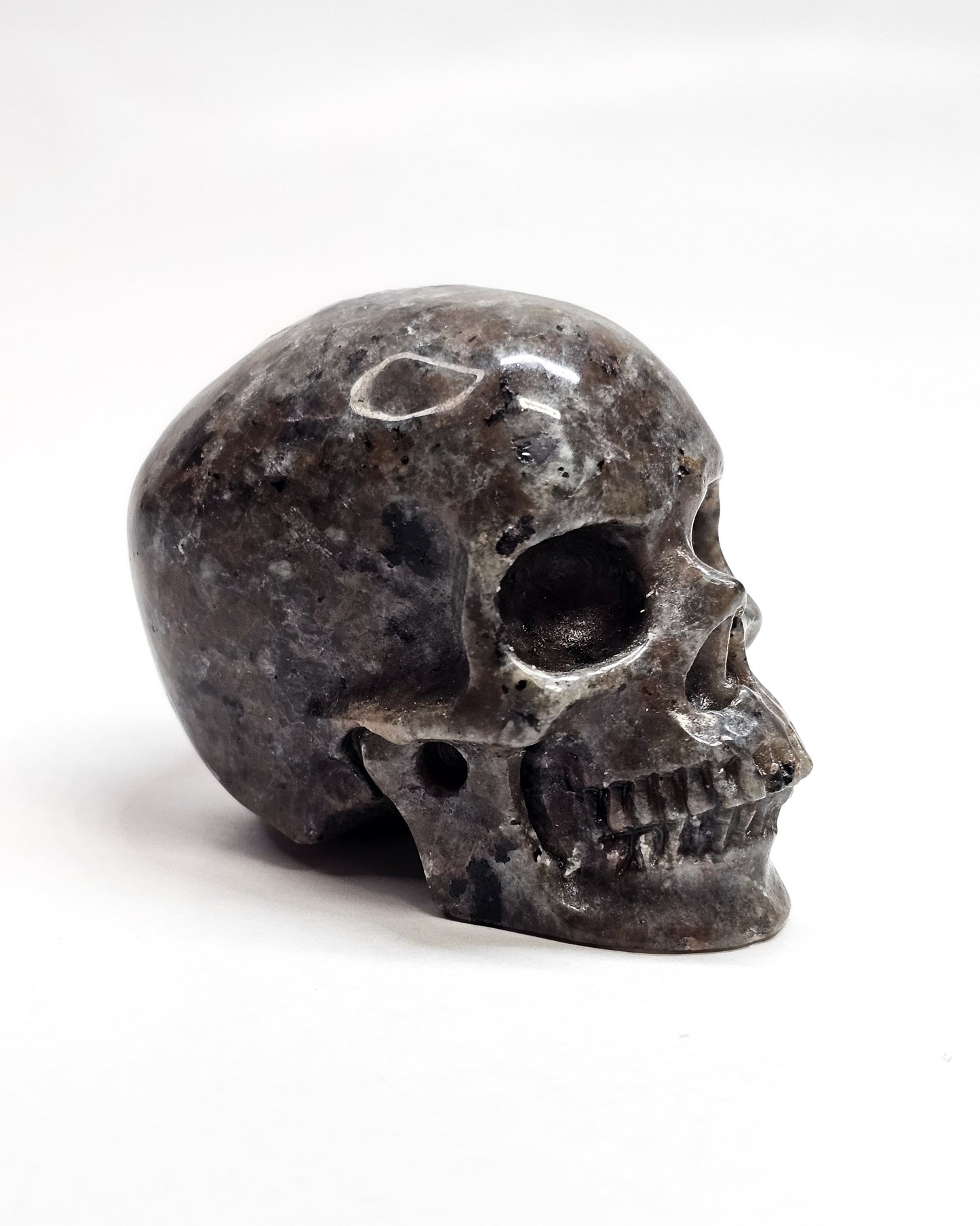 Yooperlite Small Skull