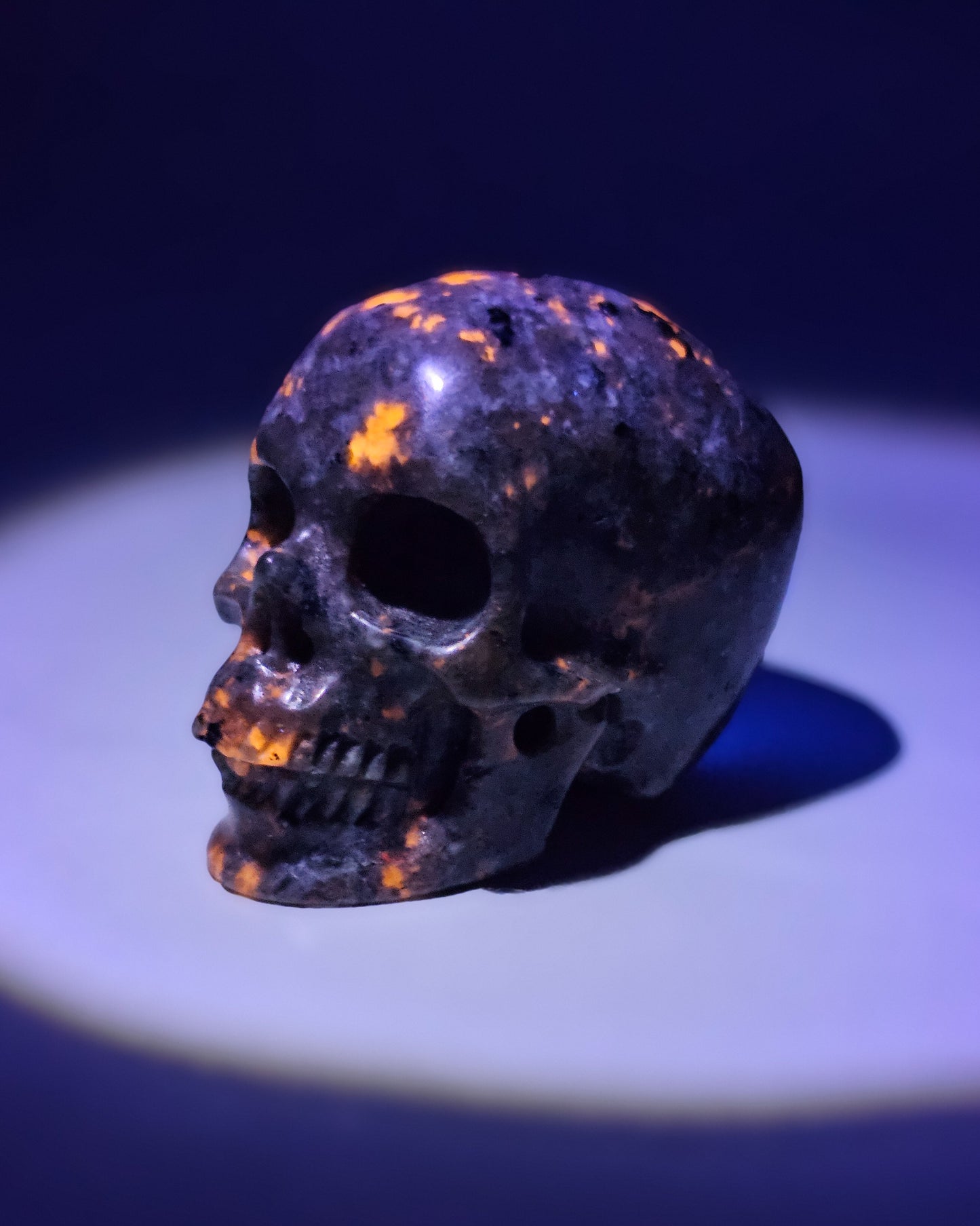 Yooperlite Small Skull
