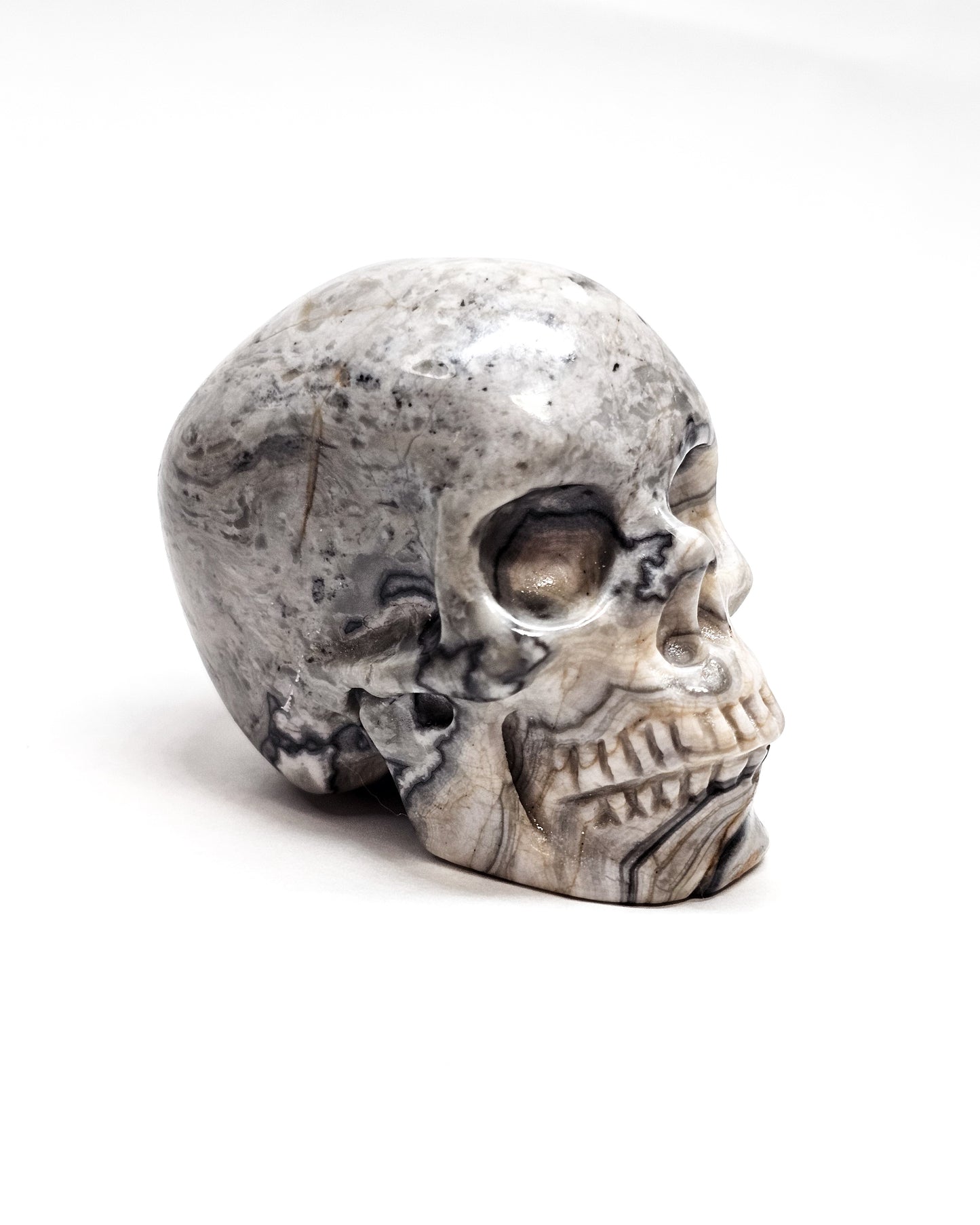 Banded Zebra Jasper Small Skull