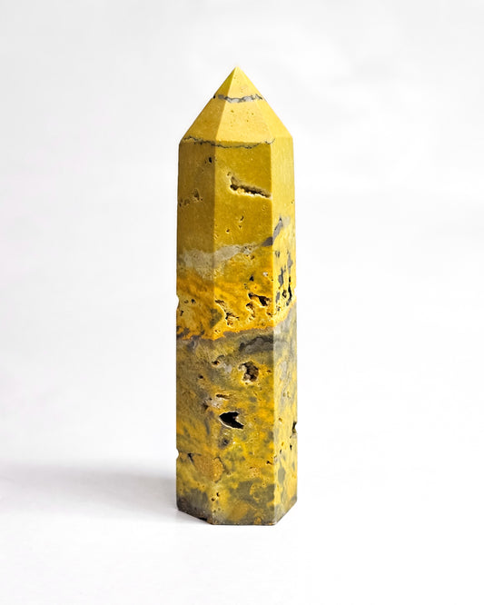 Bumblebee Jasper Point