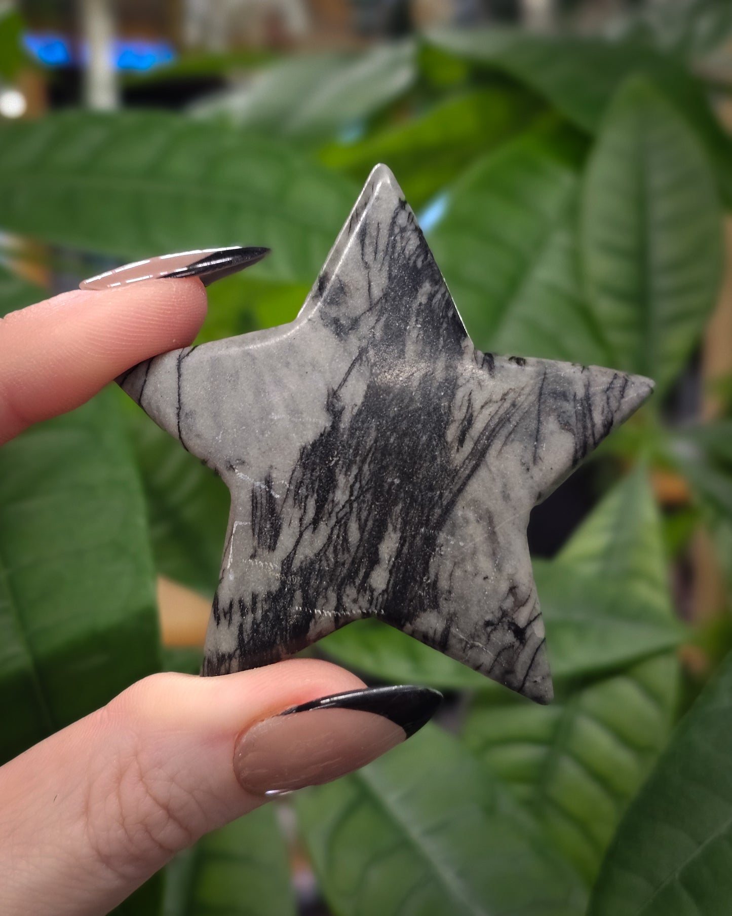 Spiderweb Jasper Star