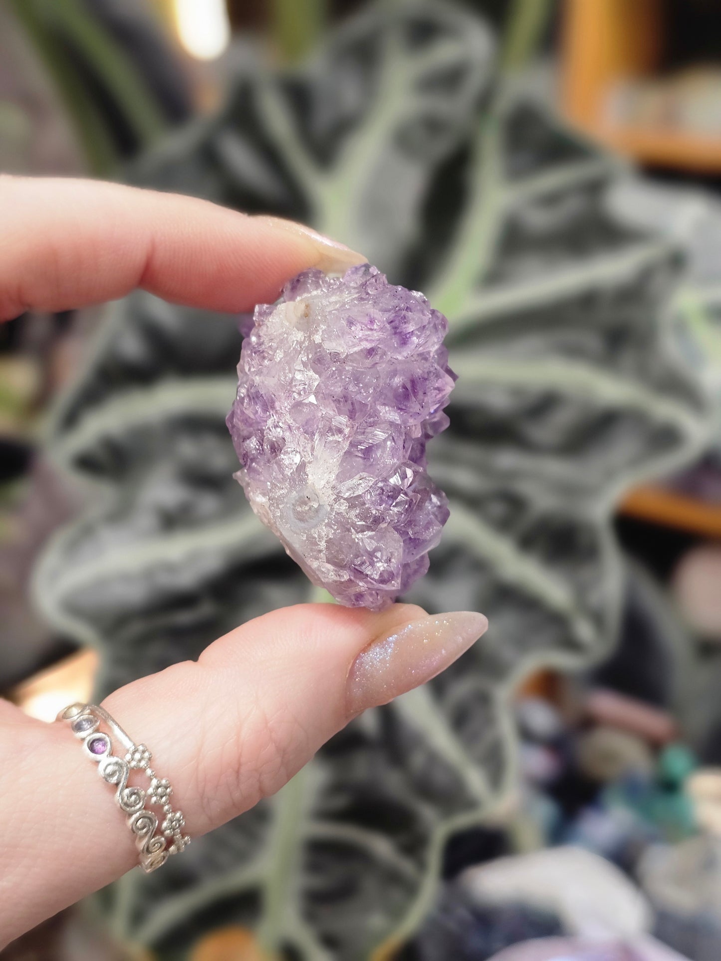 Amethyst Pine Cluster #3