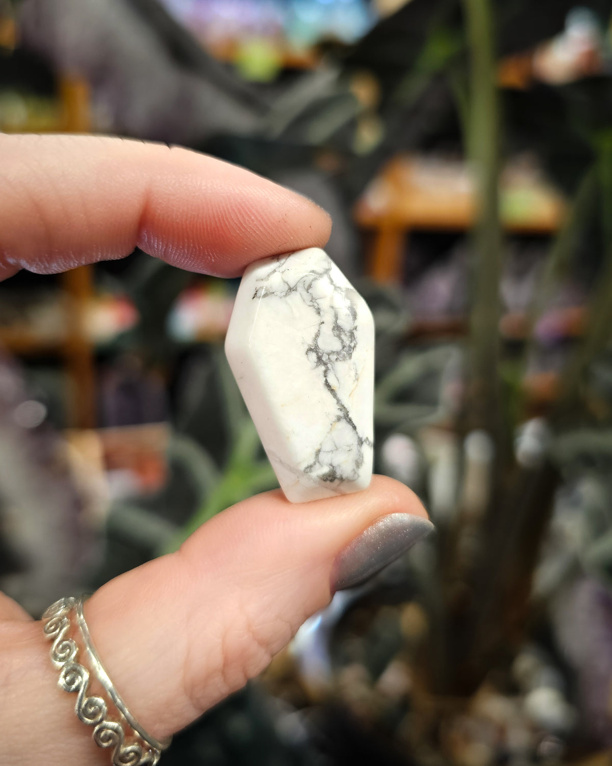Howlite Coffin