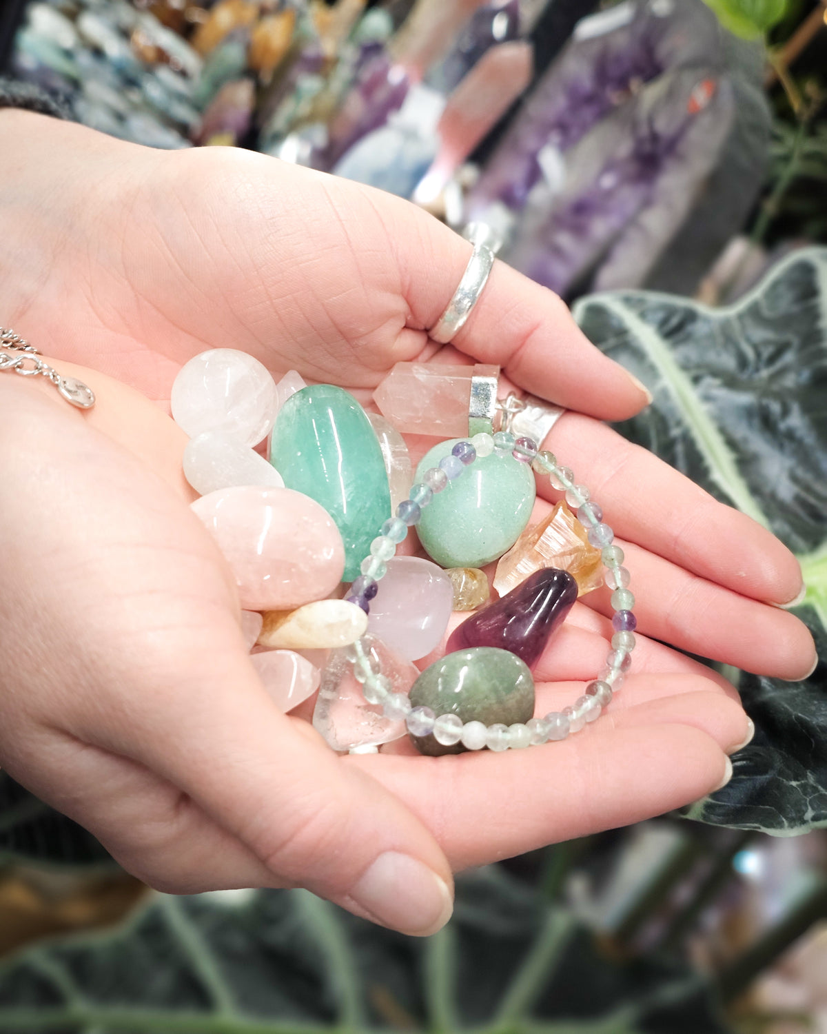 Spring Renewal Deluxe Scoop