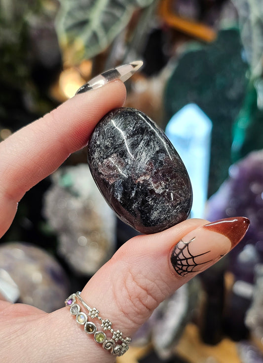 Garnet in Astrophyllite