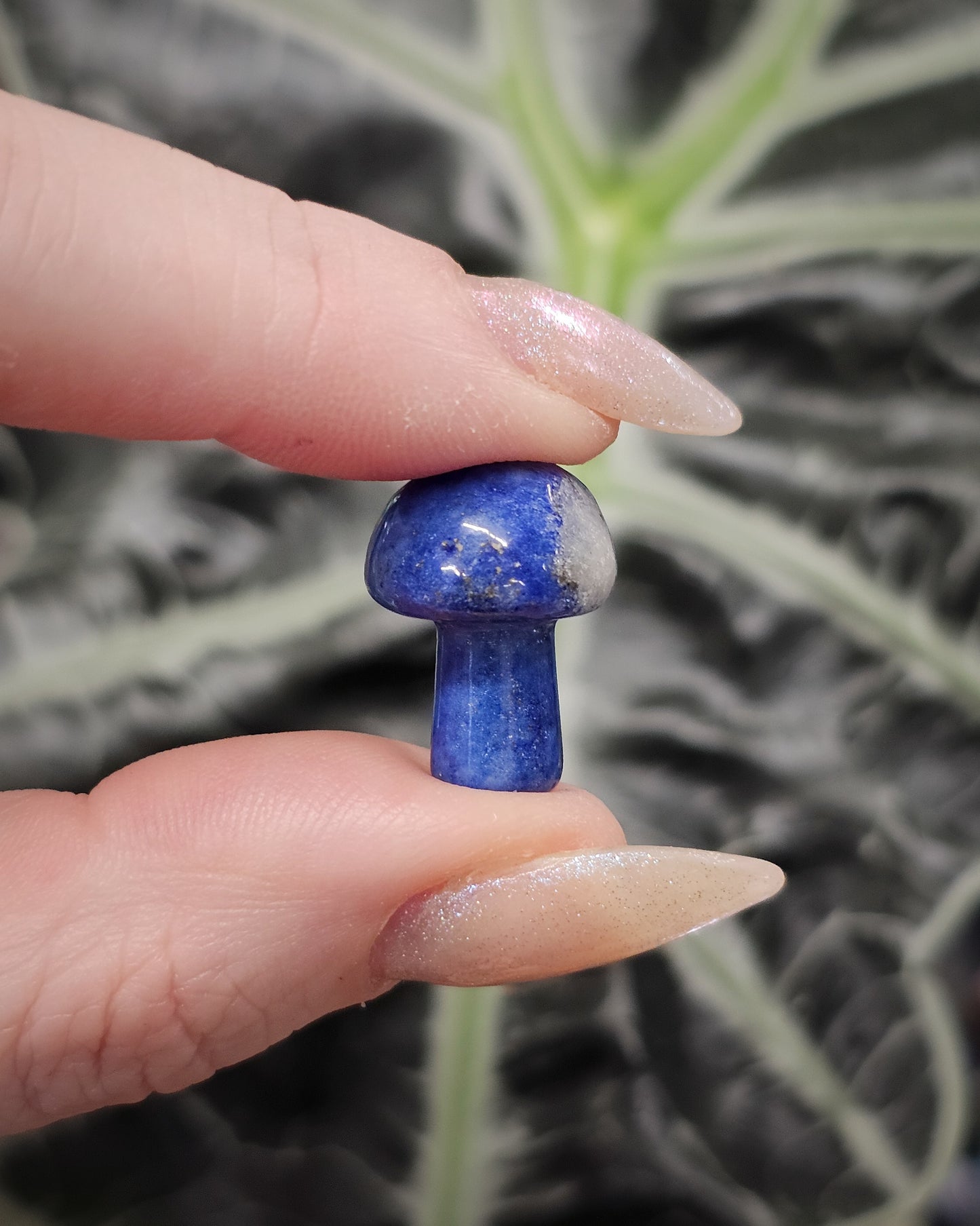 Lapis Lazuli Mini Mushroom