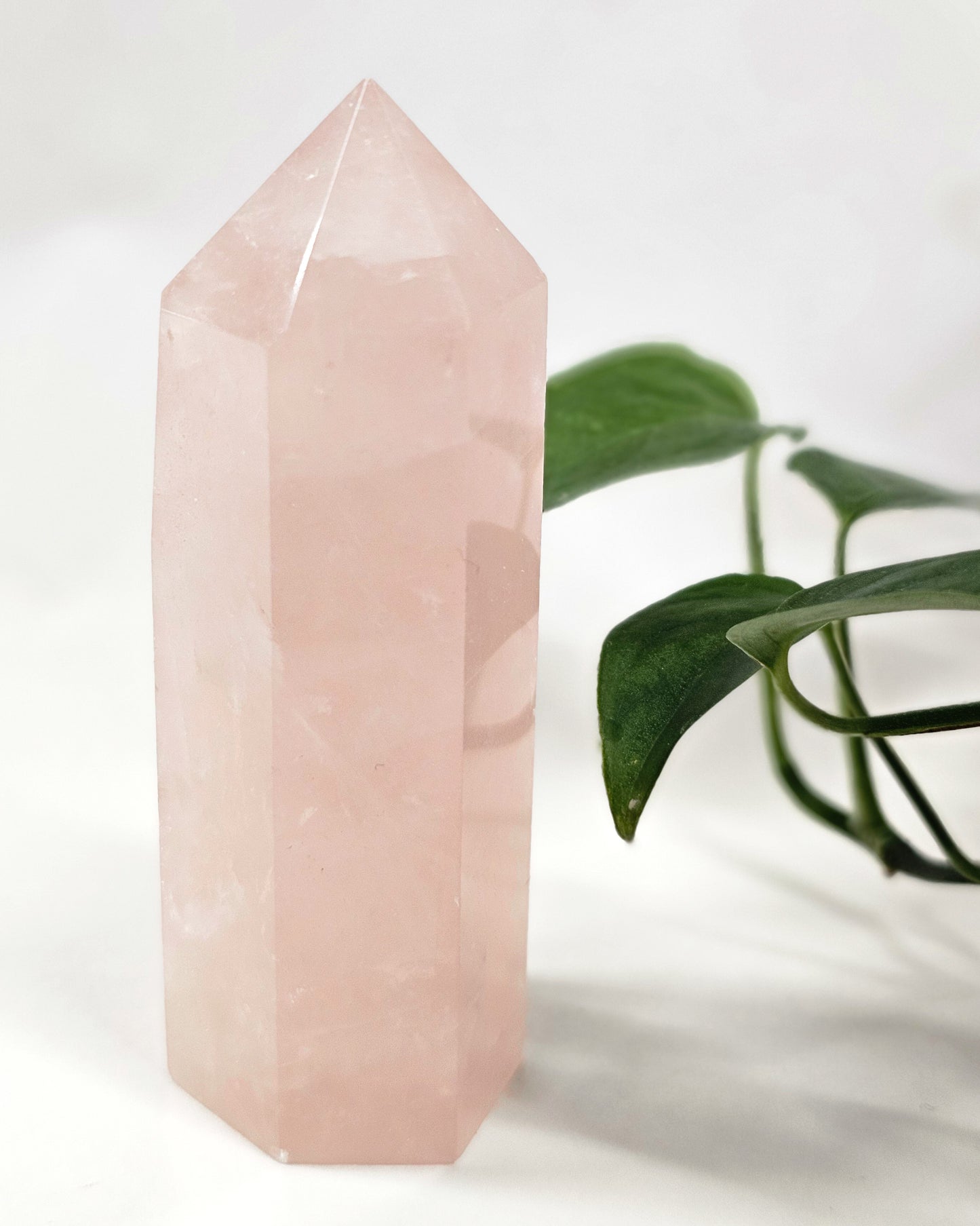 Rose Quartz Point