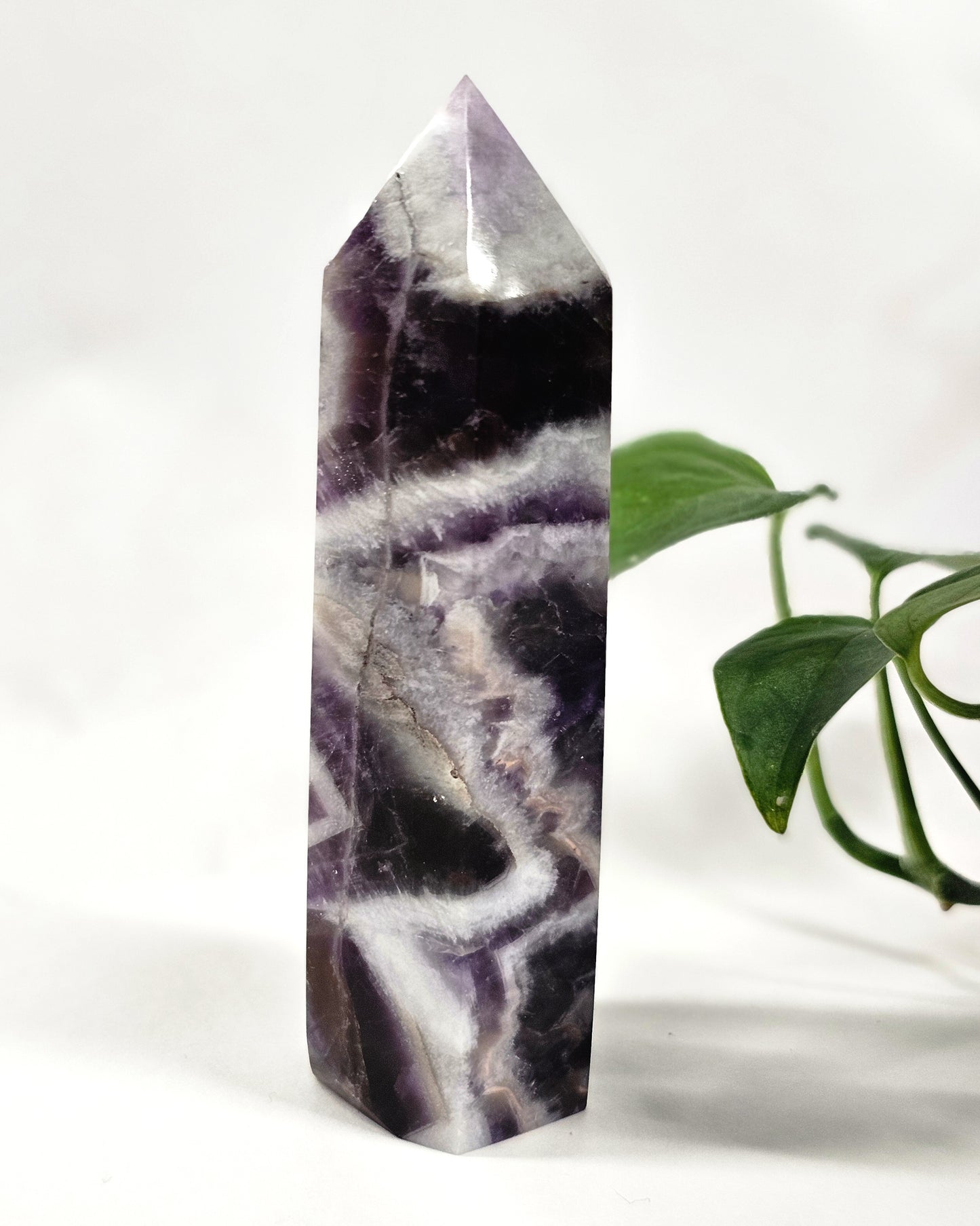 Chevron Amethyst Point