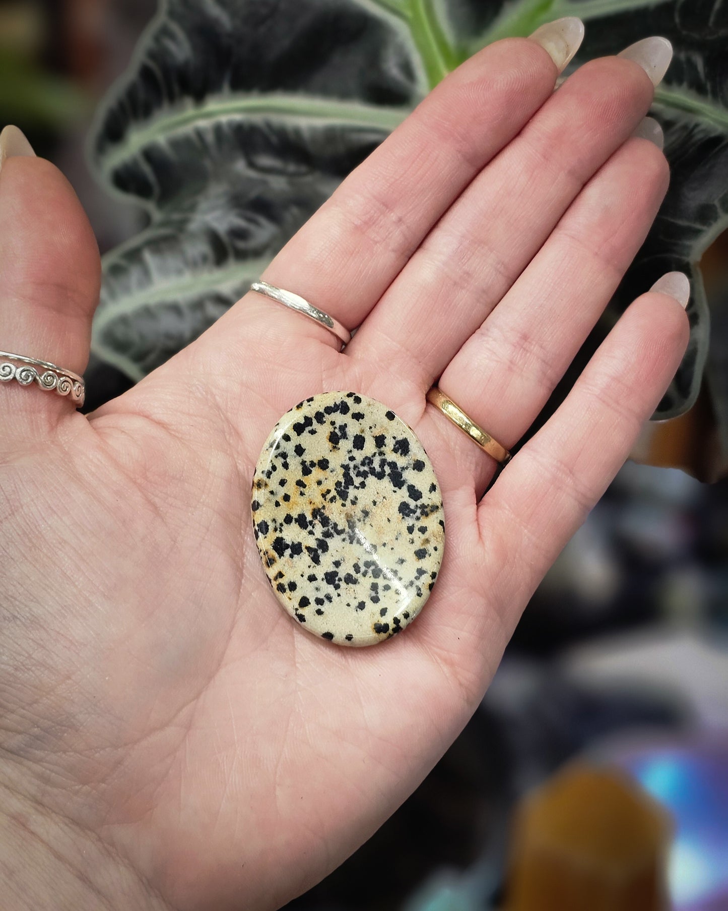 Dalmatian Jasper Worry Stone