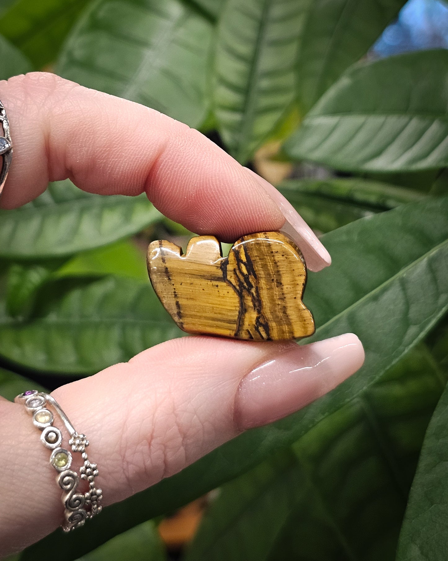 Tiger’s Eye Snail Carving