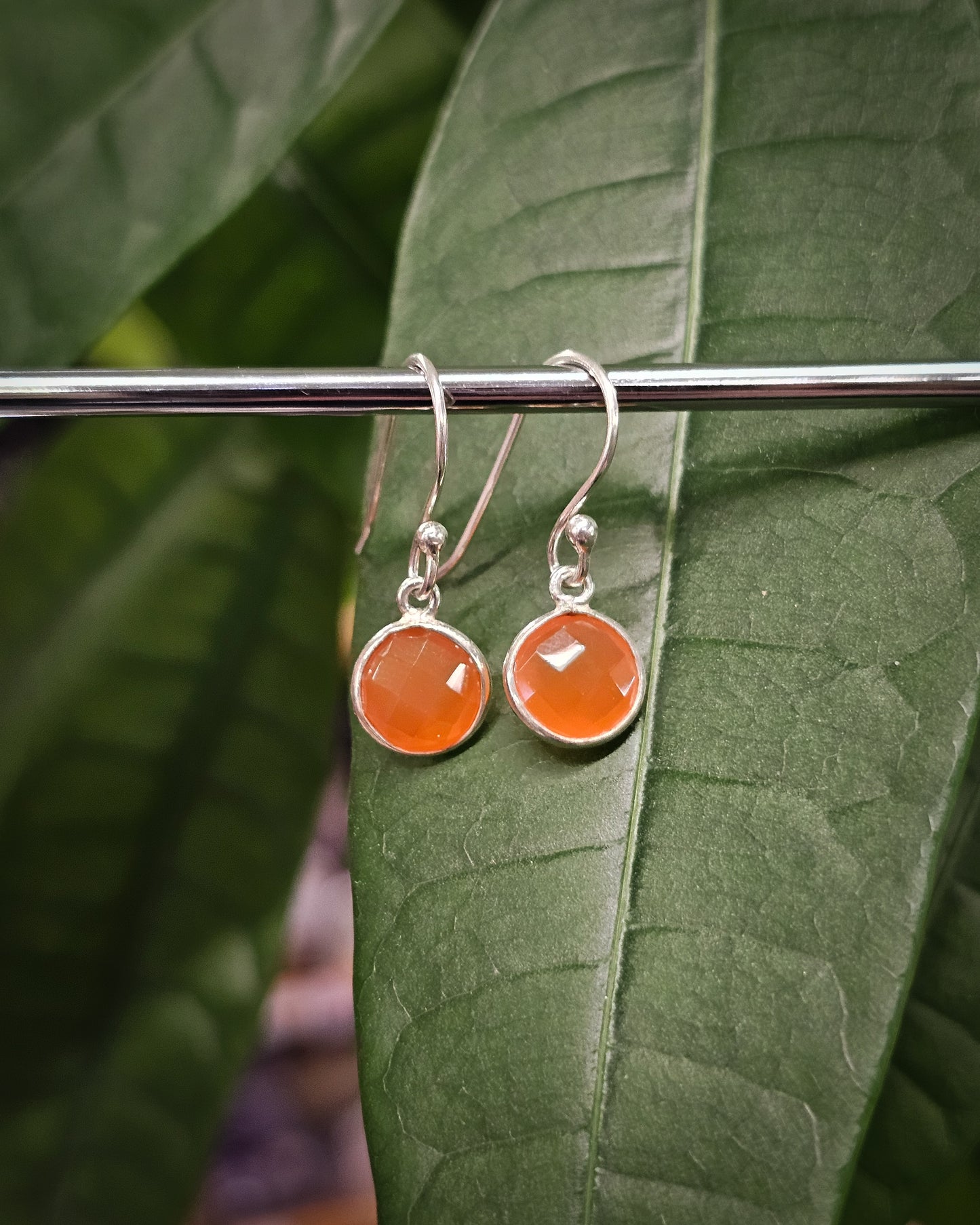 Carnelian Earrings