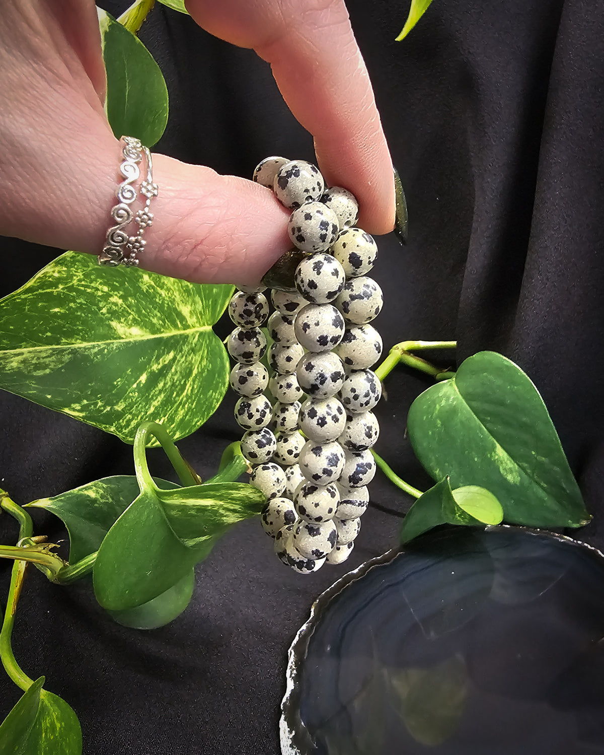 8mm Dalmation Jasper Bead Bracelet