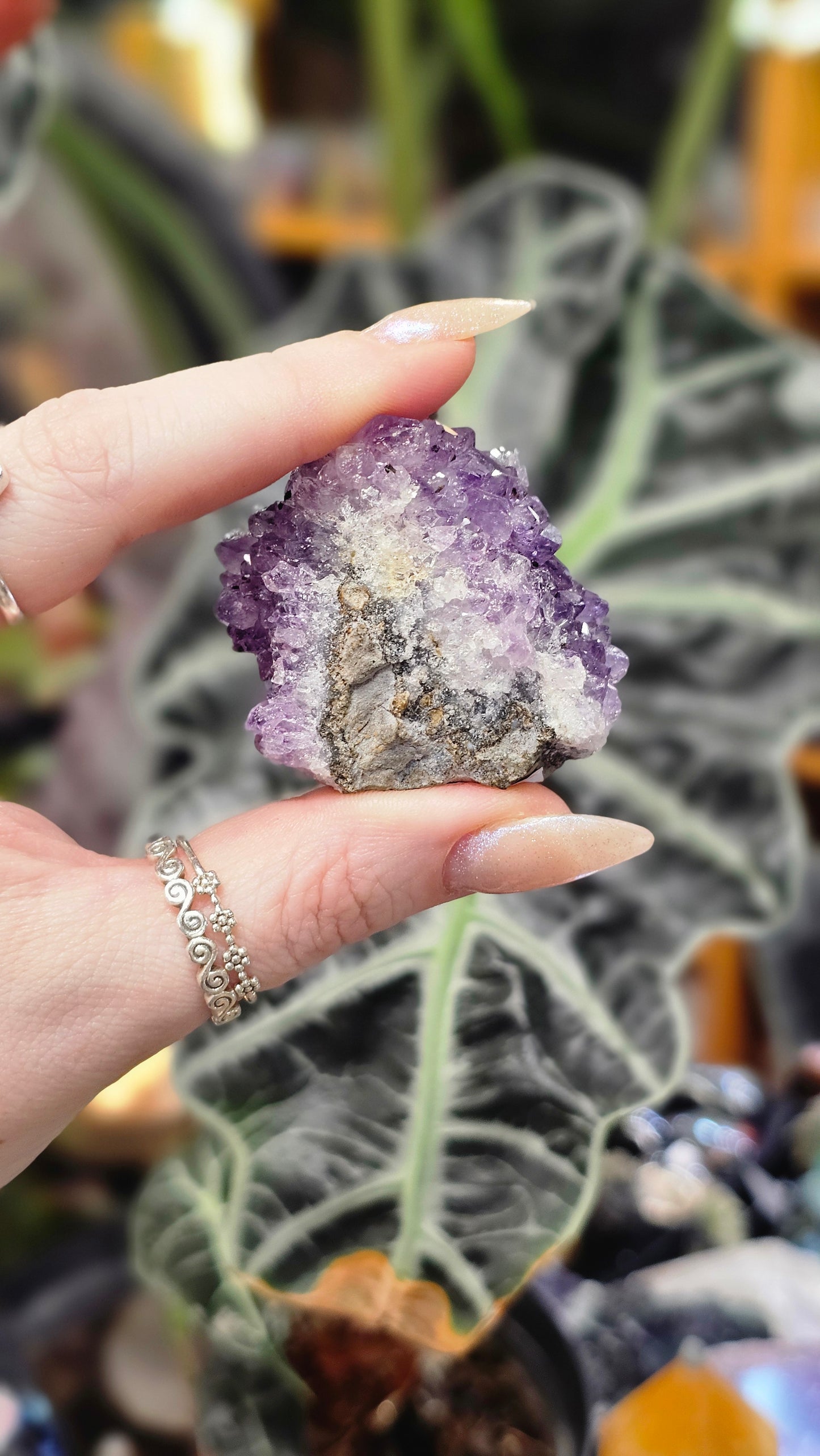 Amethyst Pine Cluster #4