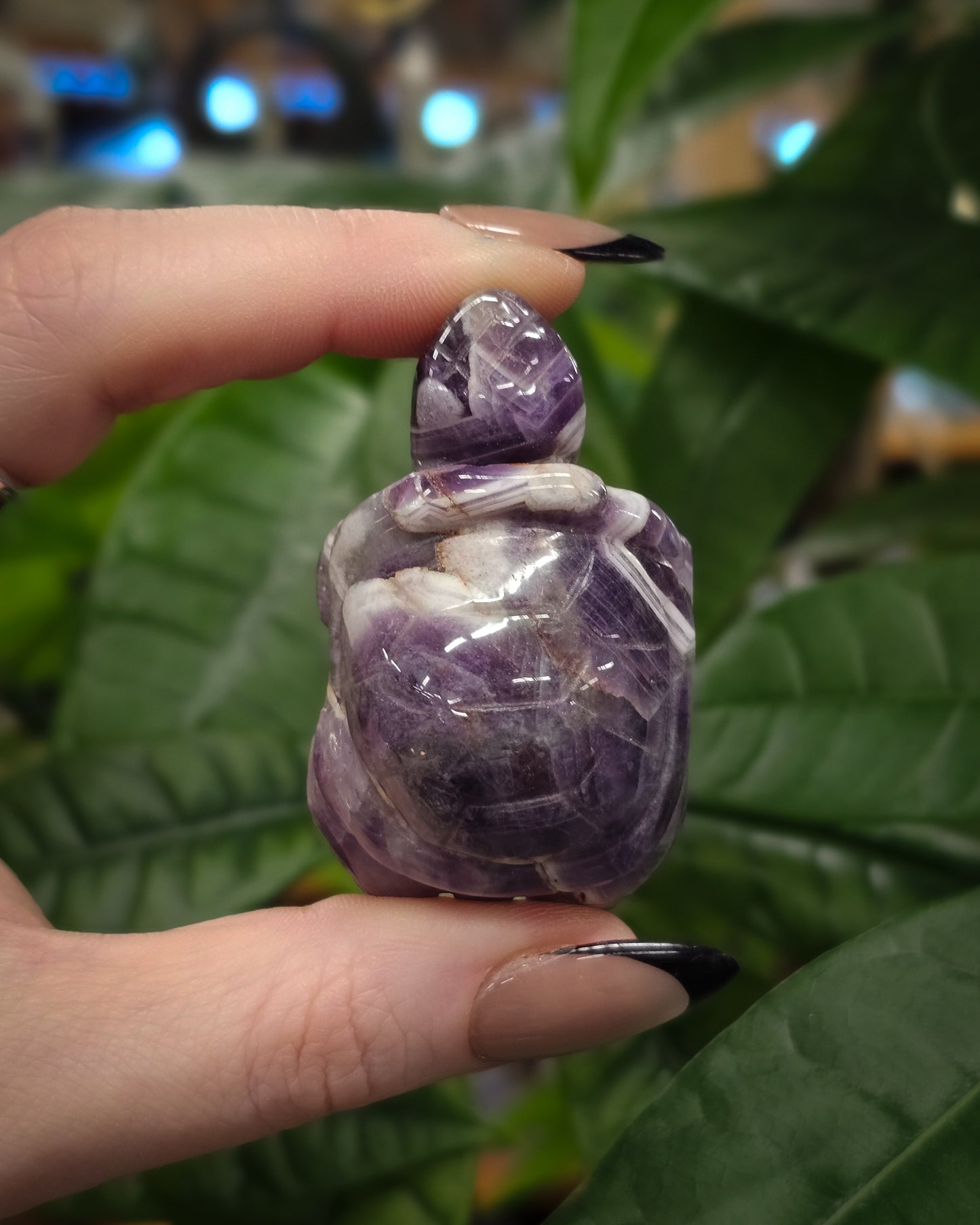 Chevron Amethyst Turtle