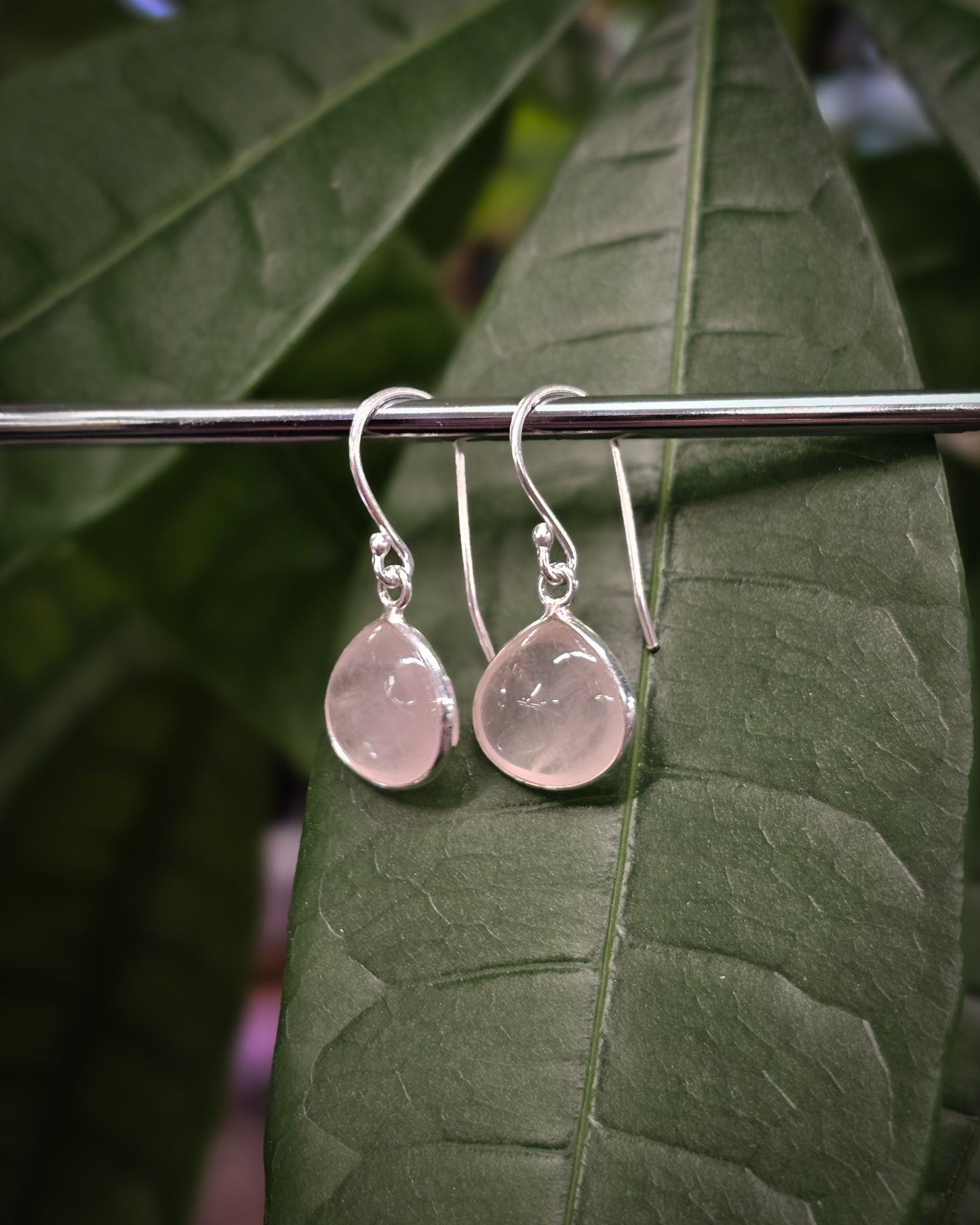 Rose Quartz Earrings