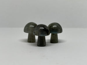 Crystal Mushrooms