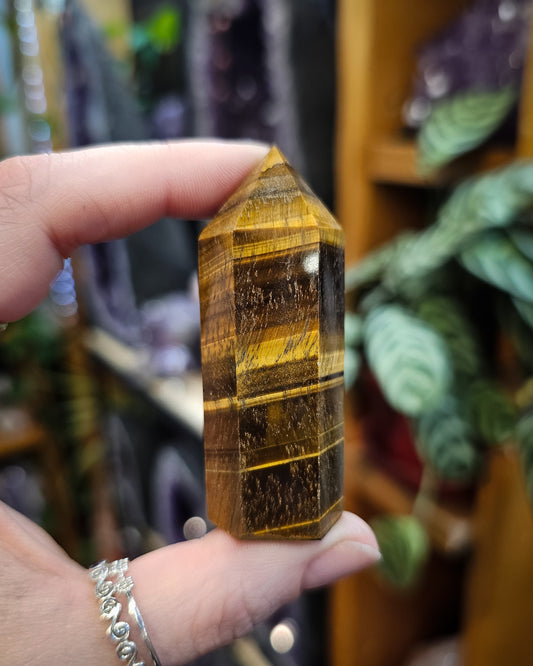 Tiger's Eye Point