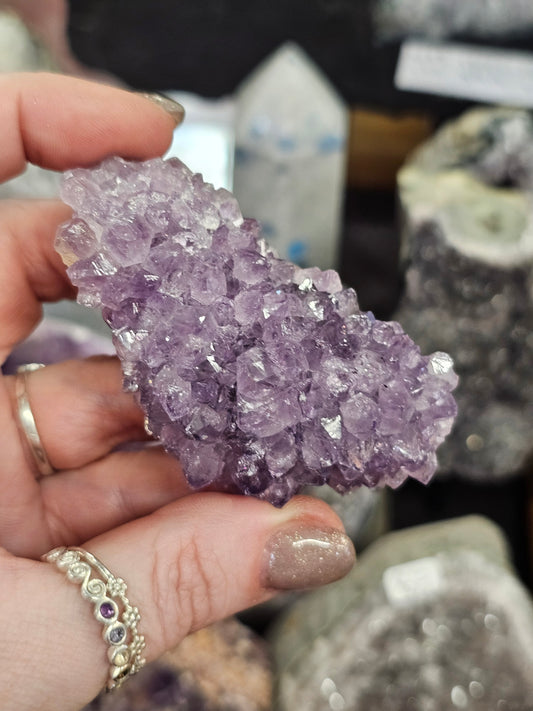 Amethyst Pine Cluster #1