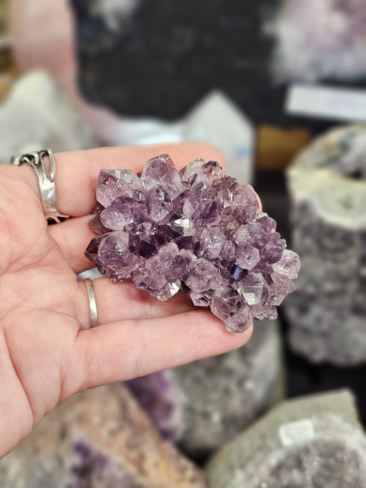 Amethyst Pine Cluster #2