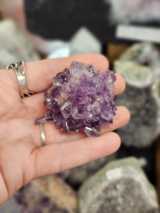 Amethyst Pine Cluster #3