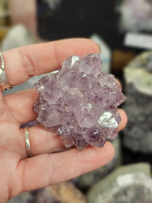 Amethyst Pine Cluster #5