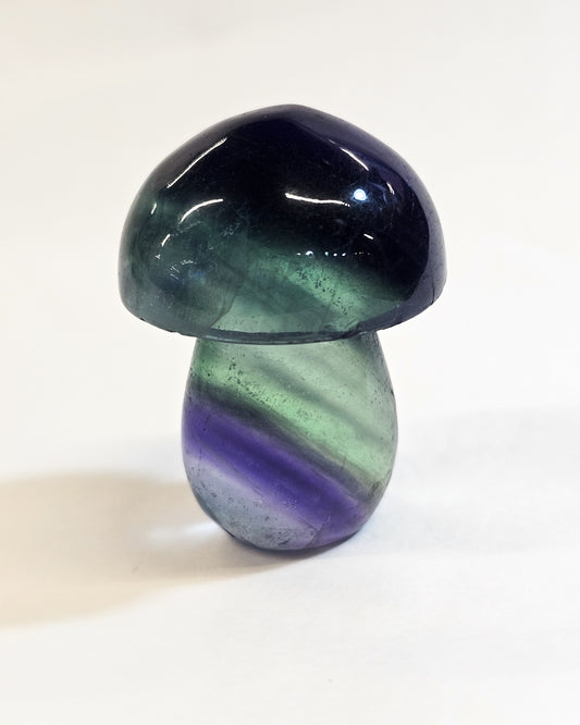 Rainbow Fluorite Mushroom #2