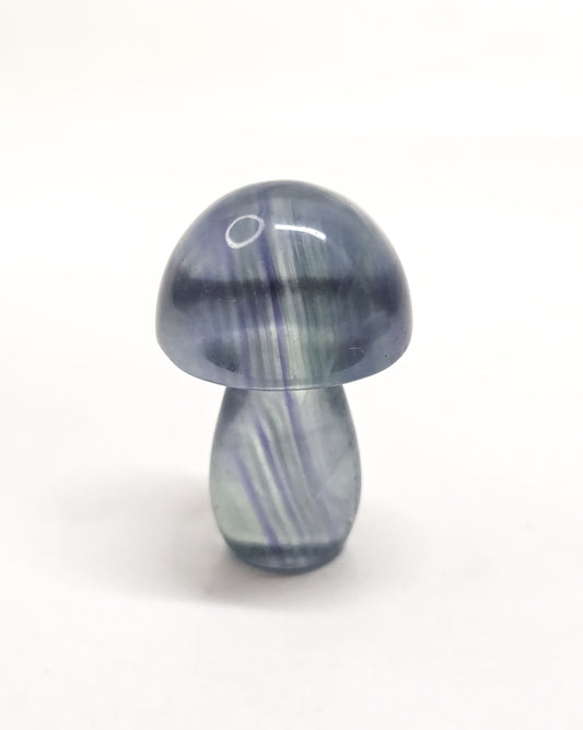 Rainbow Fluorite Mushroom #4