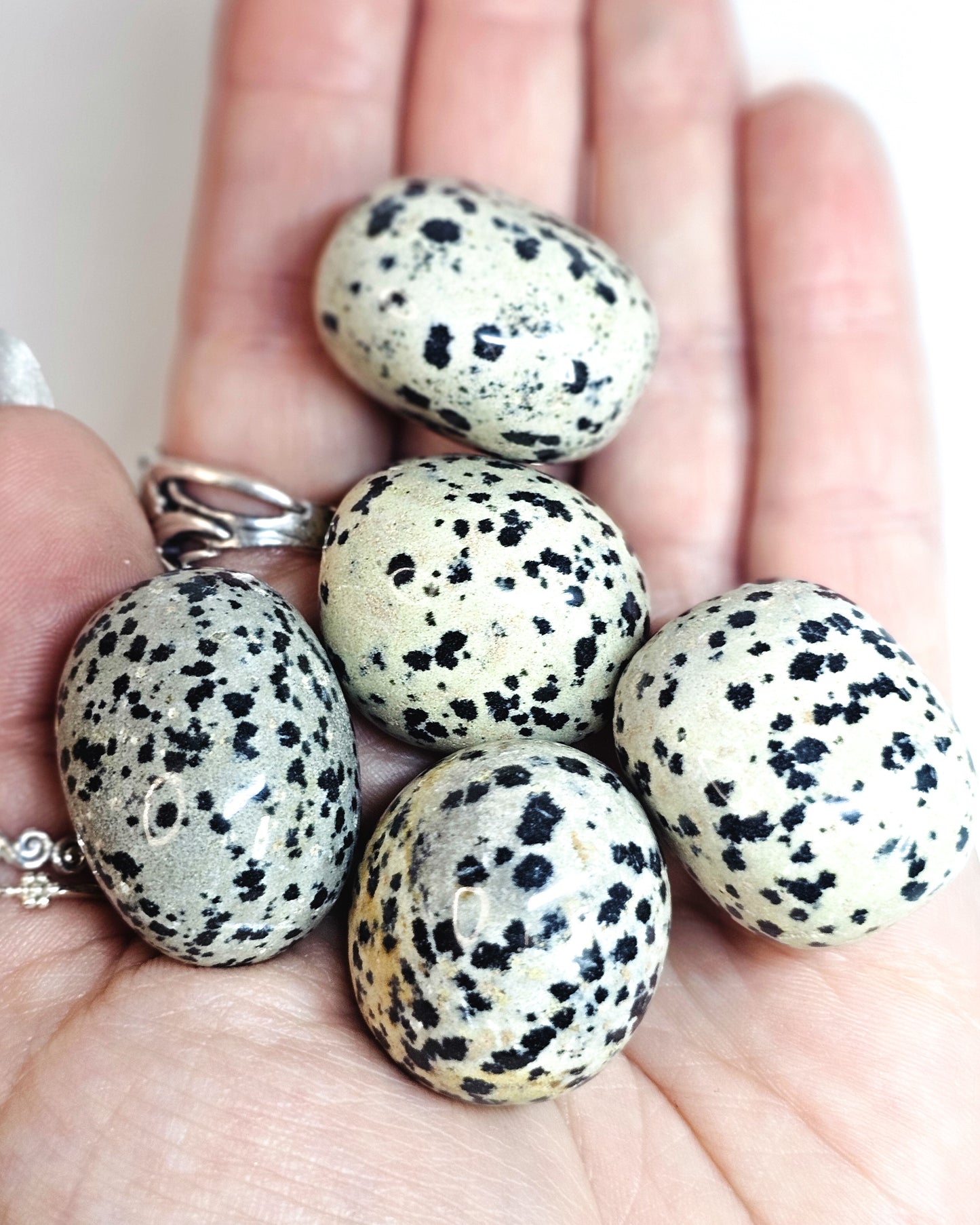 Dalmatian Jasper Tumbles