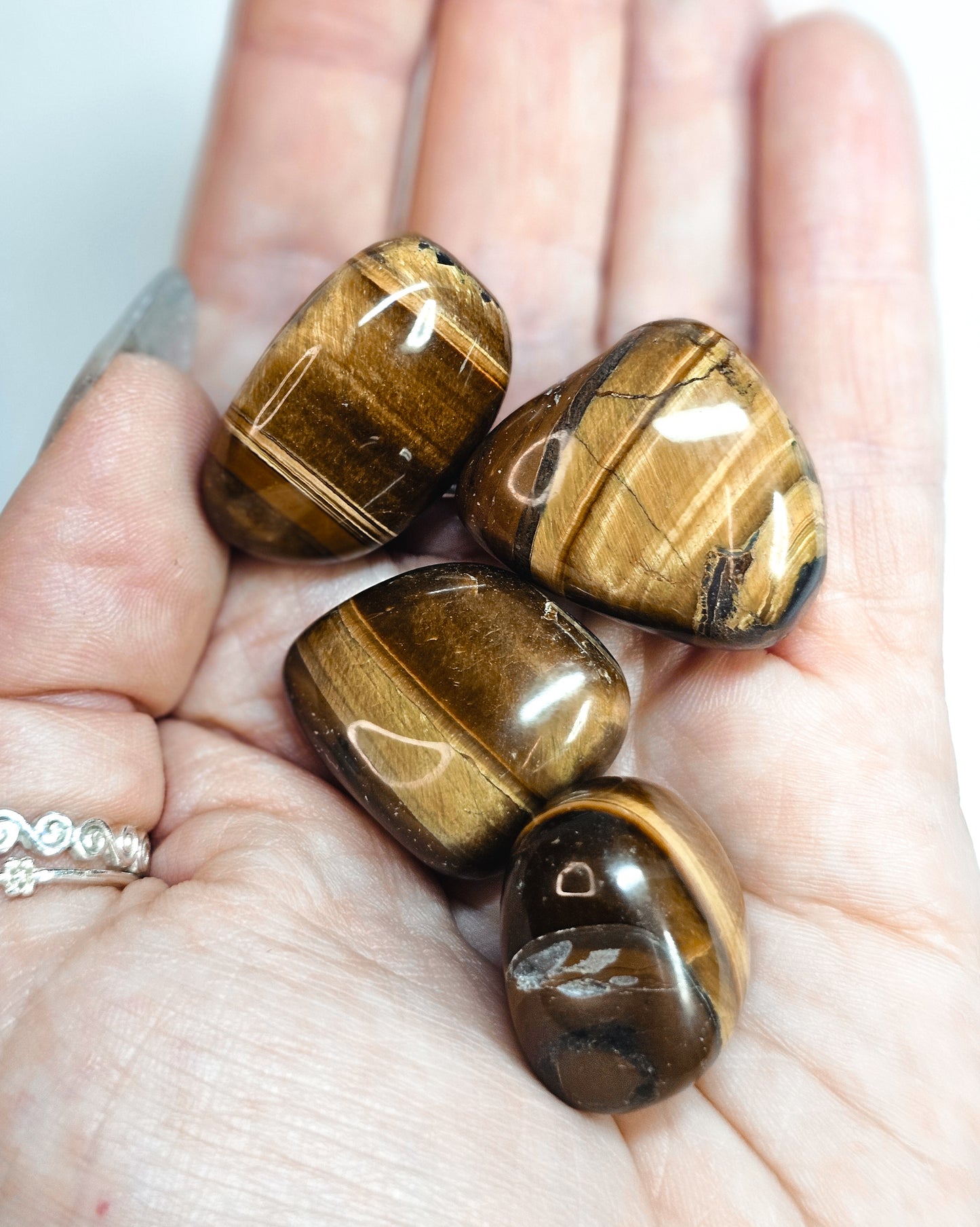 Tigers Eye Tumbles