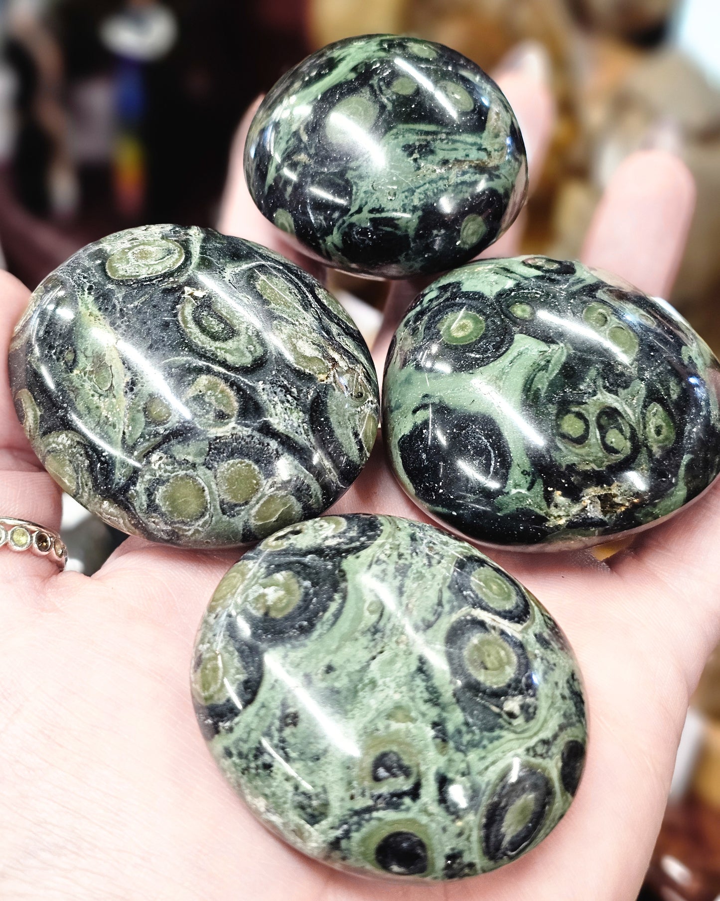 Kambaba Jasper Palmstone