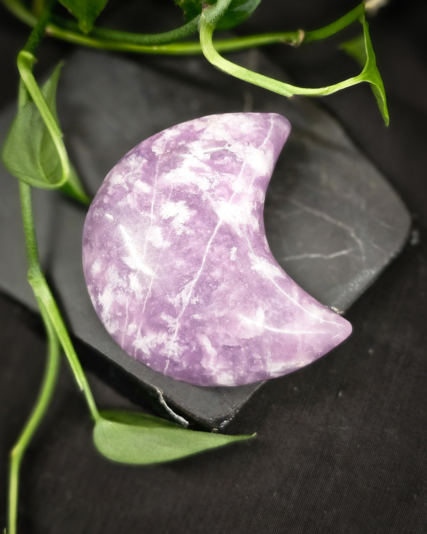 Lepidolite Moon