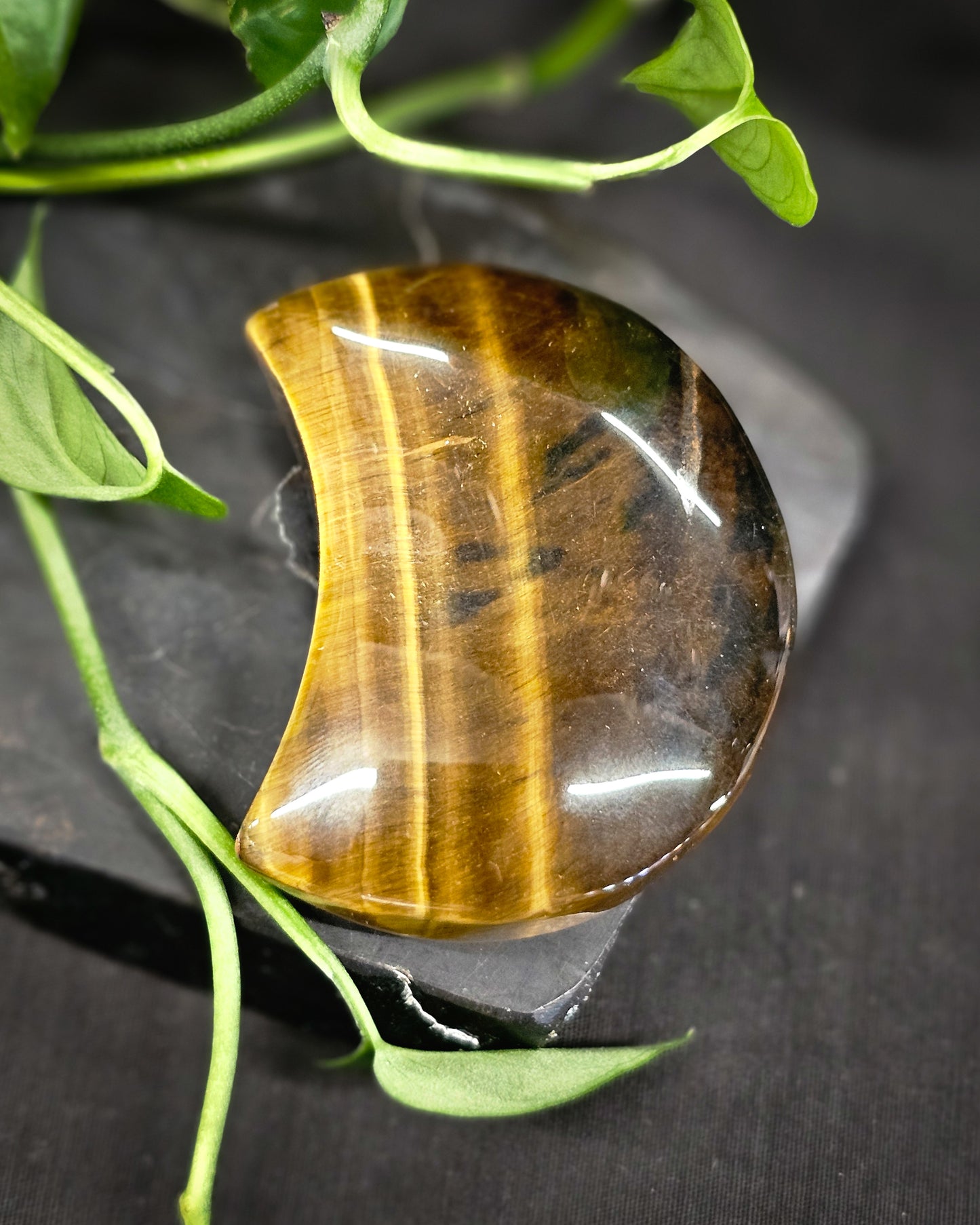 Tiger's Eye Moon