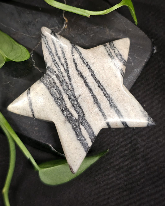 Spiderweb Jasper star