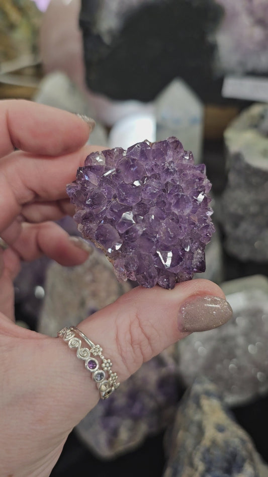 Amethyst Pine Cluster #4