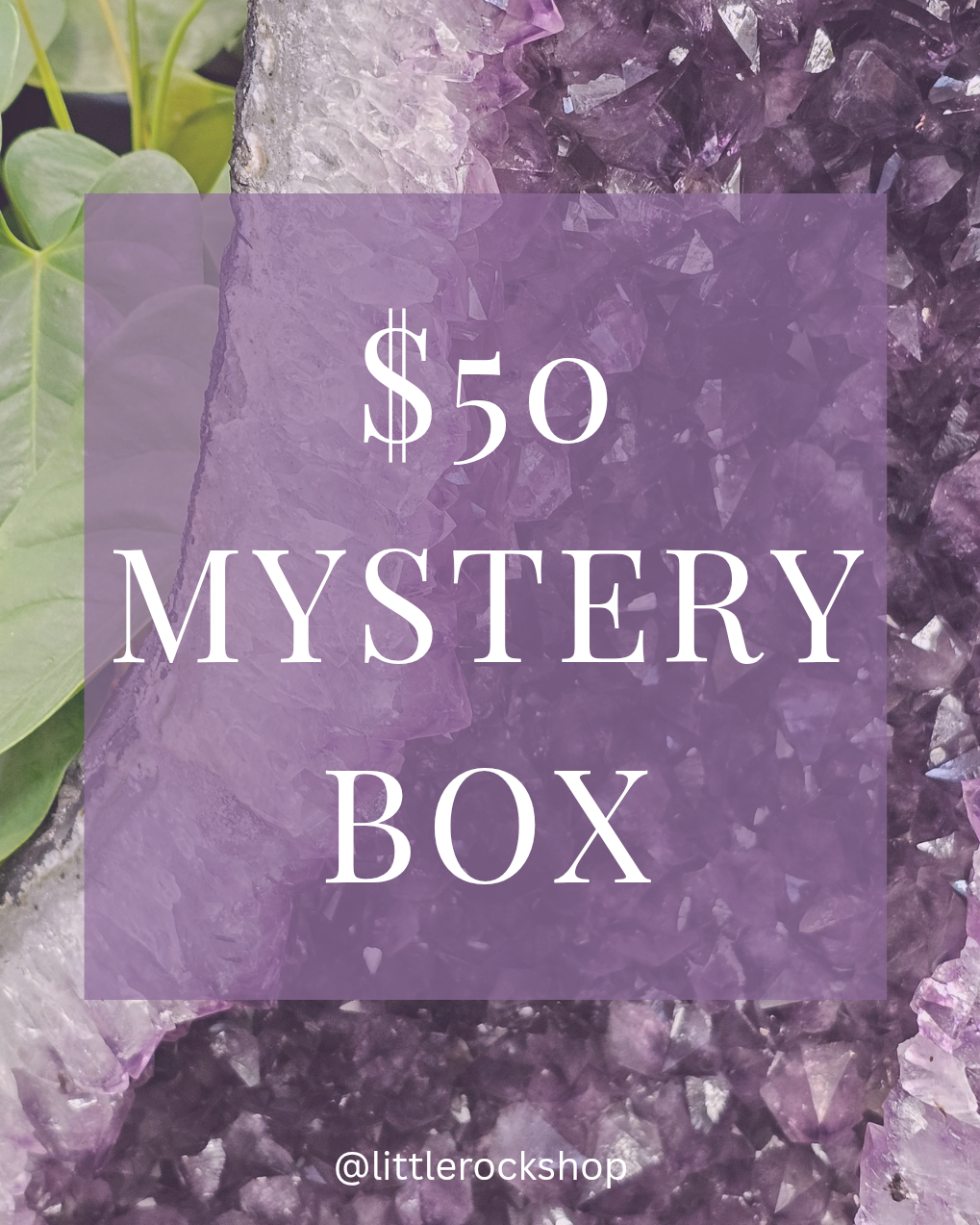 Mystery Box $50