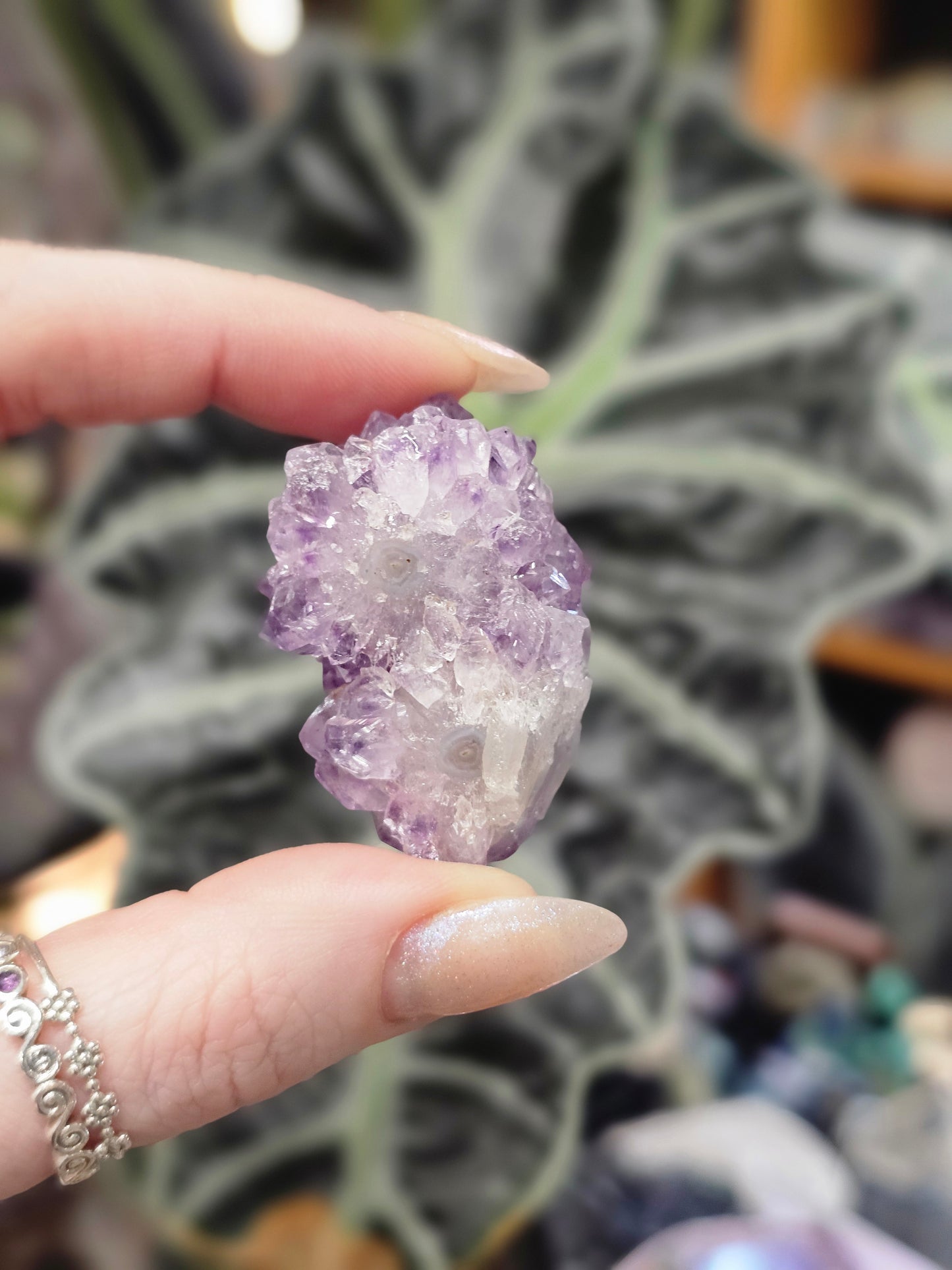 Amethyst Pine Cluster #3