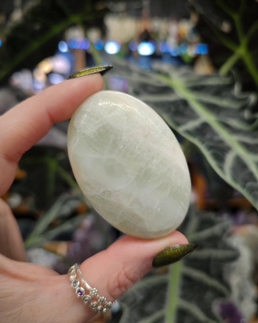 Caribbean Calcite Palmstone #2