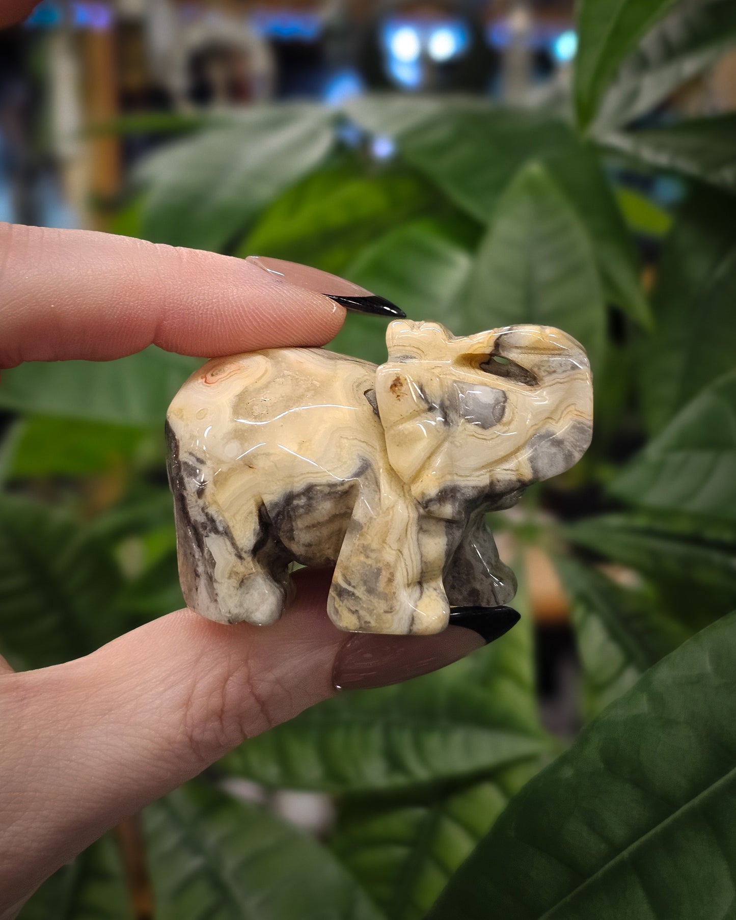 Crazy Lace Agate Elephant Carving