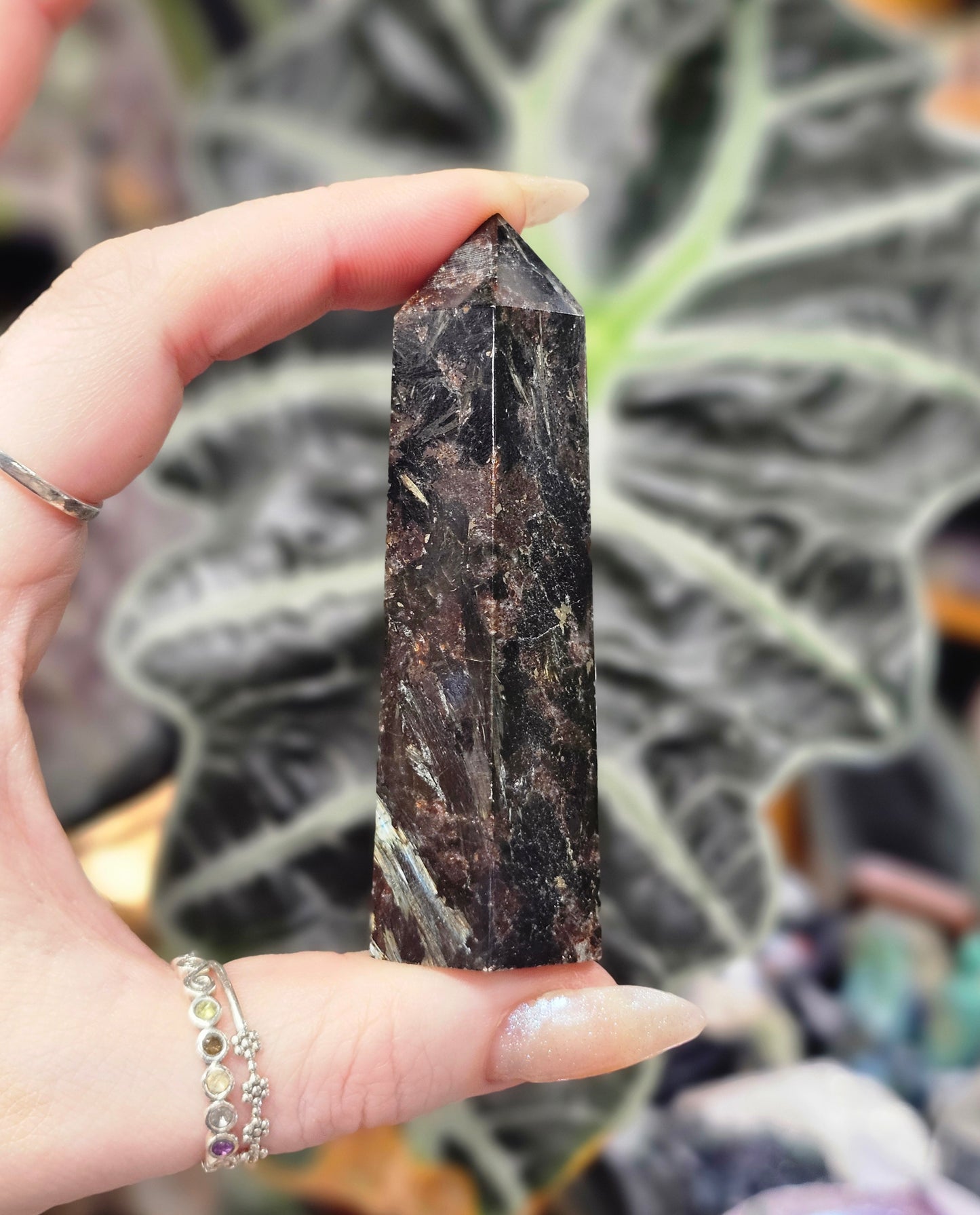 Garnet Astrophyllite Point #1