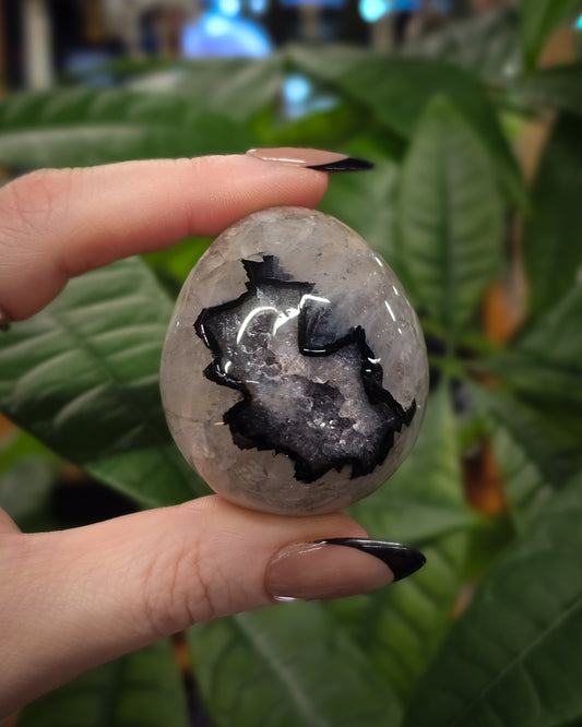 Black Banded Agate Egg #2