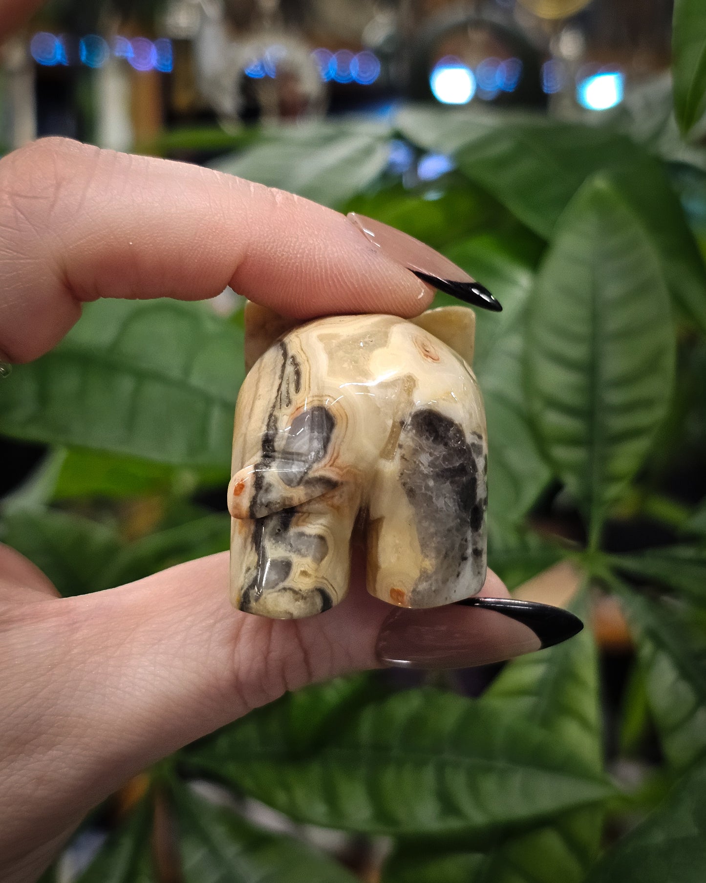 Crazy Lace Agate Elephant Carving