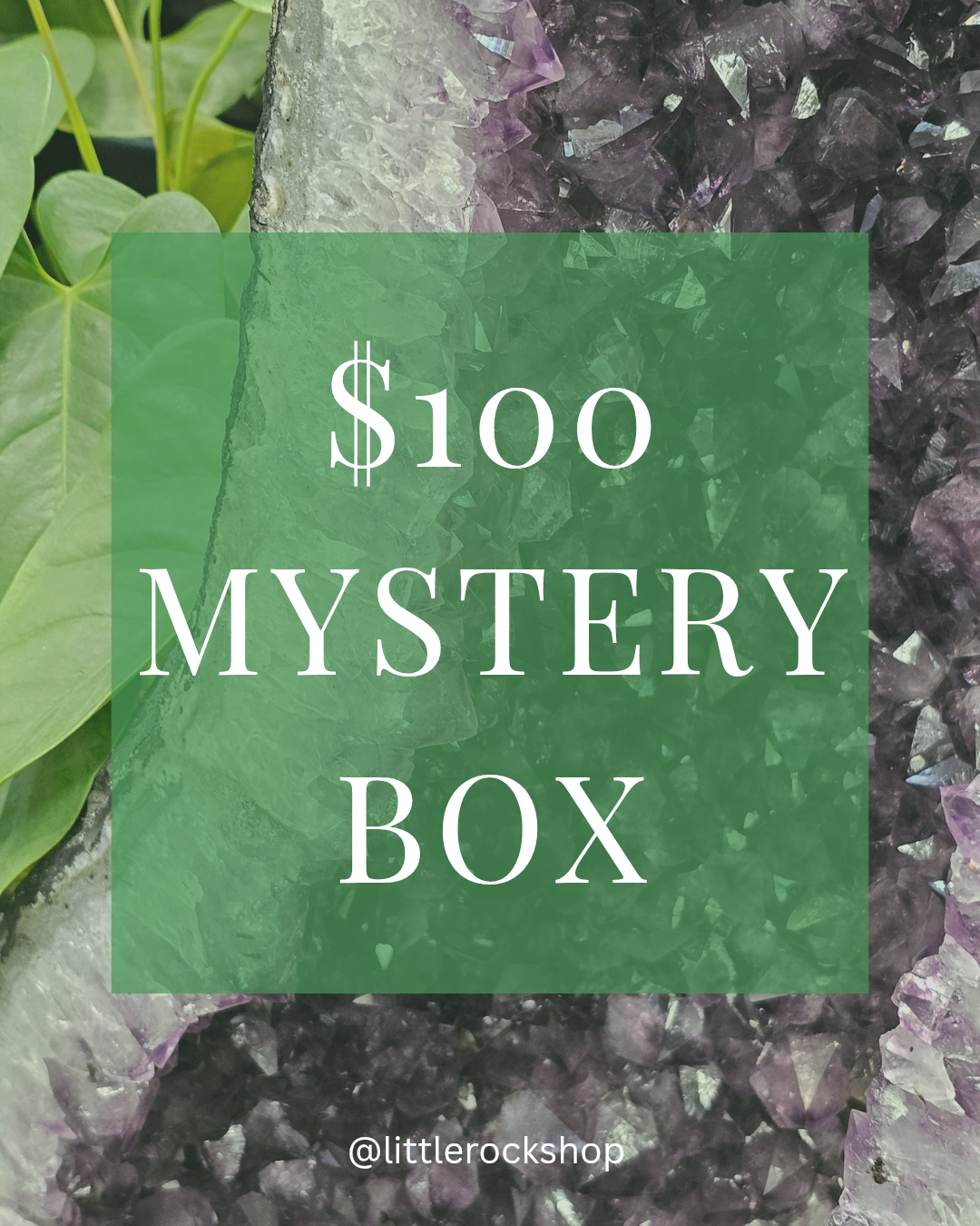 Mystery Box $100