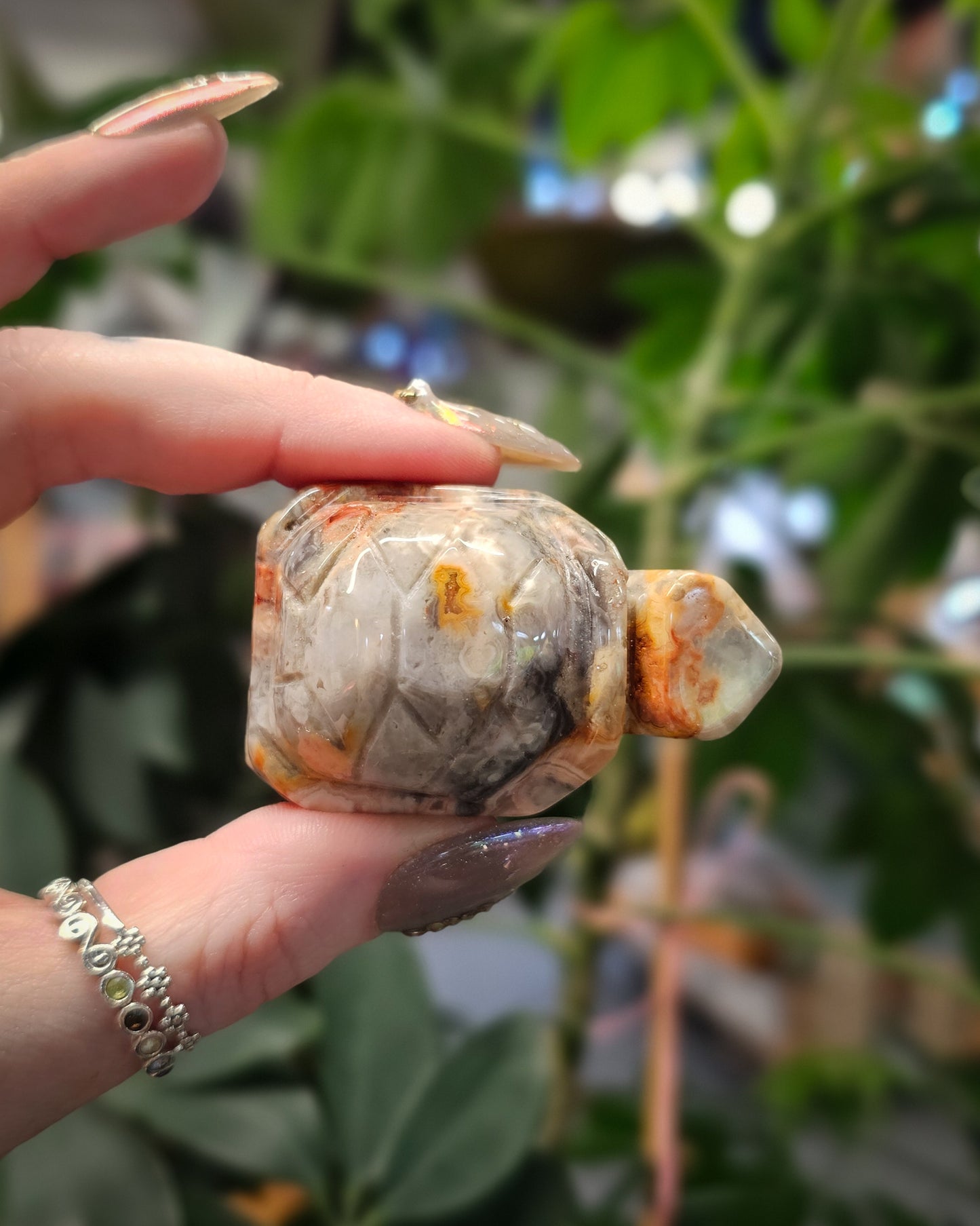 Crazy Lace Agate Tortoise Carving