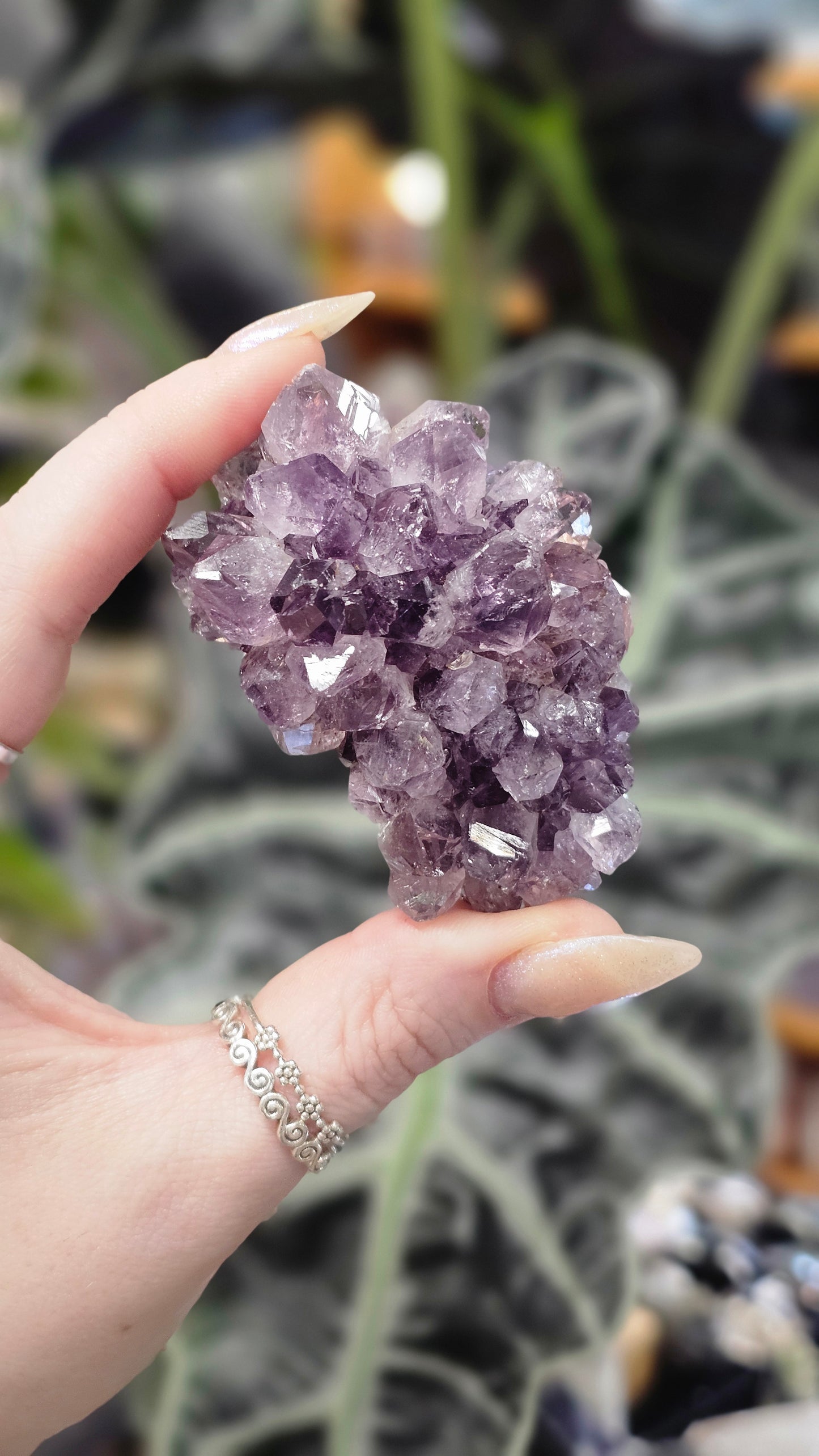 Amethyst Pine Cluster #2