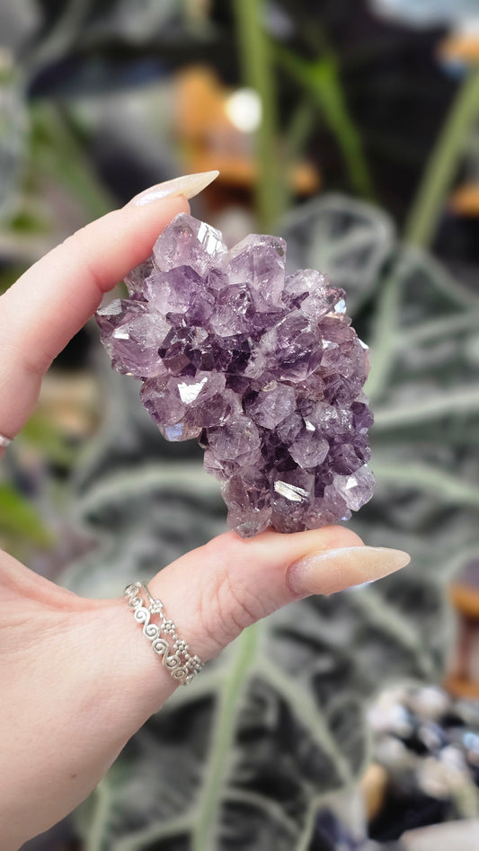Amethyst Pine Cluster #2