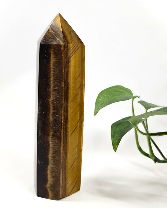 Tiger's Eye Point