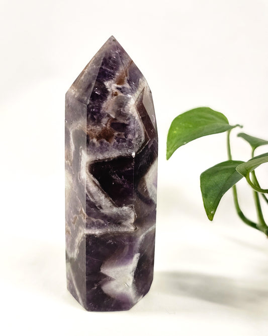 Chevron Amethyst Point #2