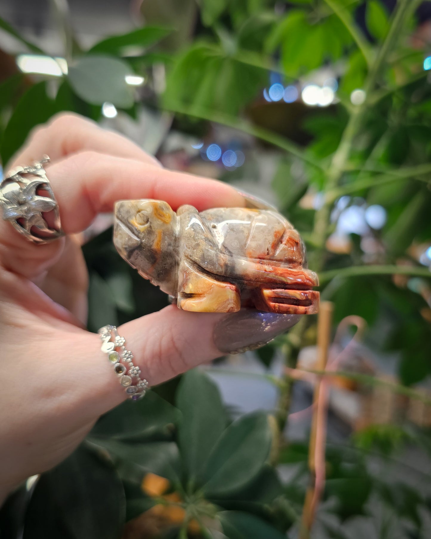 Crazy Lace Agate Tortoise Carving