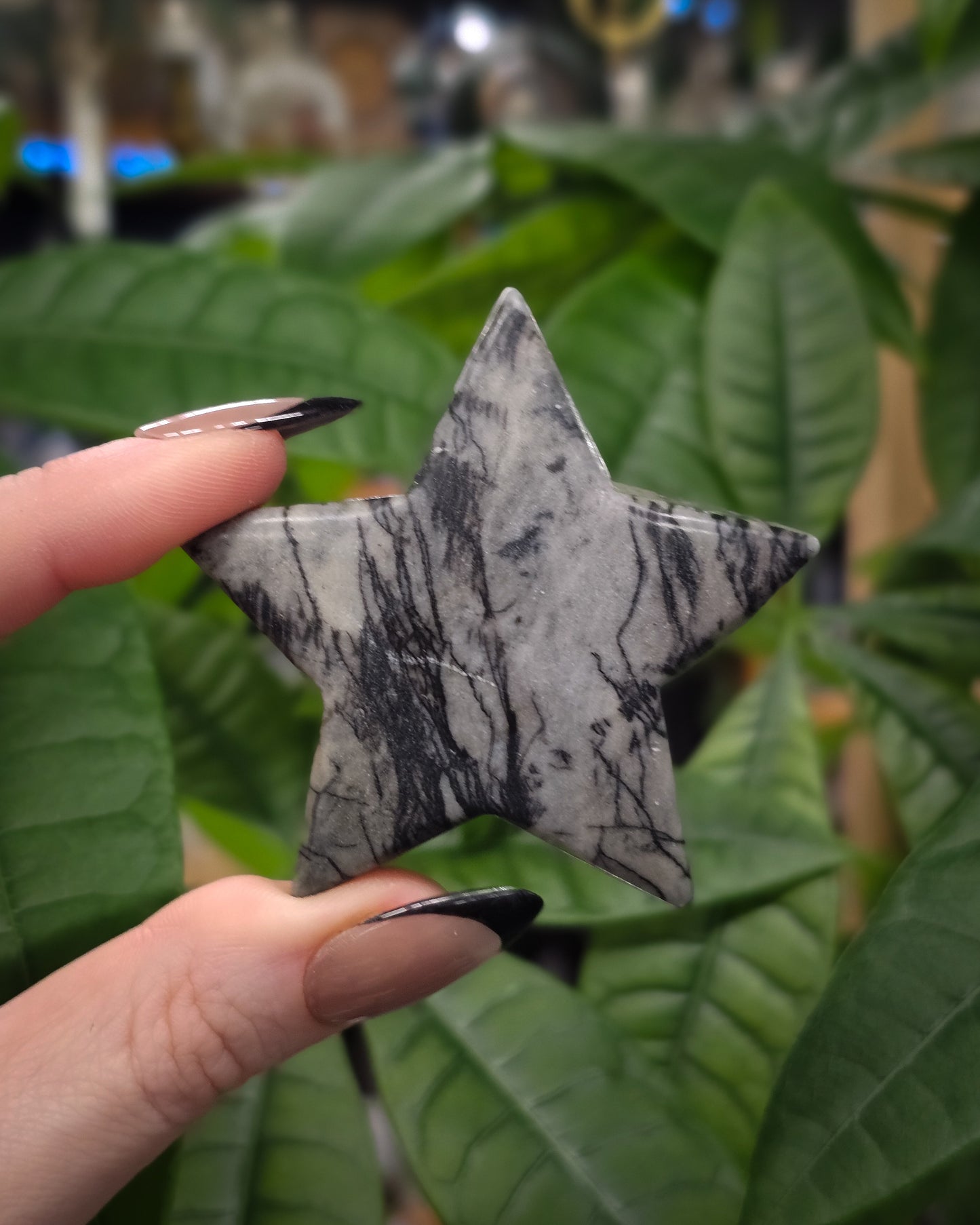 Spiderweb Jasper Star