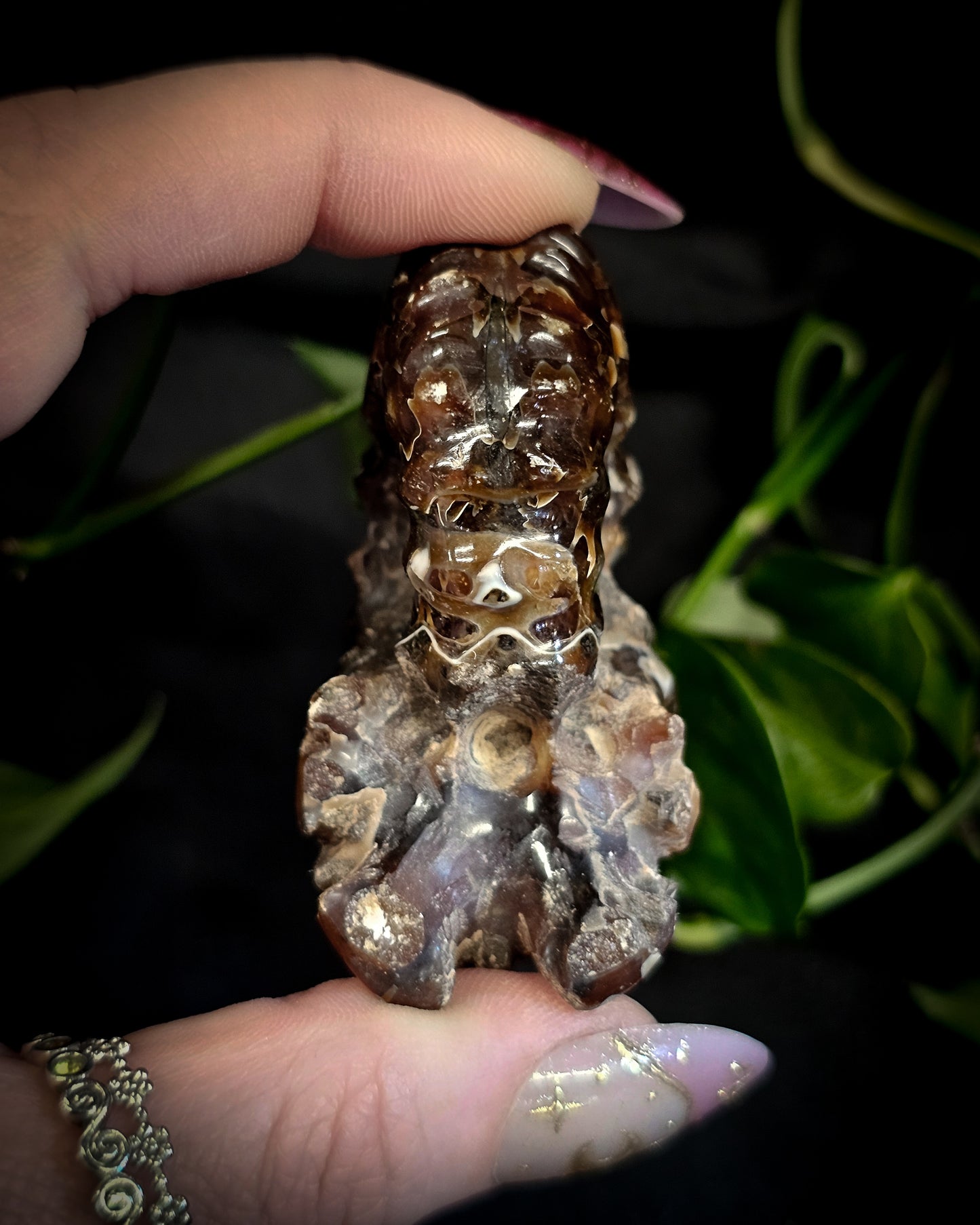 Whole Ammonite #1